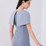 A professional woman wearing a sophisticated light grey pinstripe sleeveless sheath dress, featuring an elegant boat neckline and a tailored slim-fit silhouette for a polished executive look.