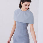 A professional woman wearing a sophisticated light grey pinstripe sleeveless sheath dress, featuring an elegant boat neckline and a tailored slim-fit silhouette for a polished executive look.