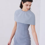 A professional woman wearing a sophisticated light grey pinstripe sleeveless sheath dress, featuring an elegant boat neckline and a tailored slim-fit silhouette for a polished executive look.